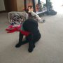 Reacher Christmas 9 weeks a